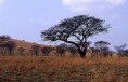 /album/photos/ghana-landscape-for-image-editor-jpg1/